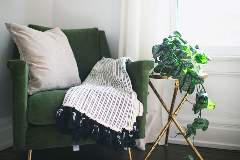 Cozy Pillows and Throws